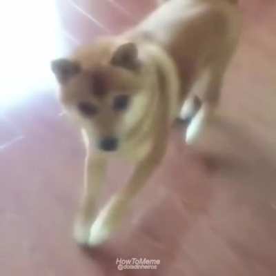 Cr&eacute;ditos: HowToMeme