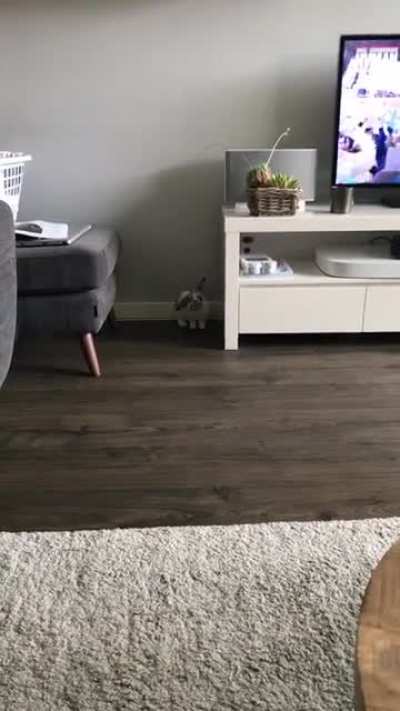 Nothing to see here