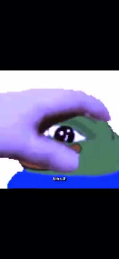 PET NOW