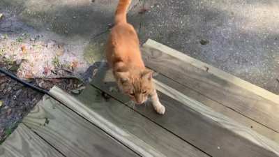 This guy showed up yesterday and won&rsquo;t stop talking to me.