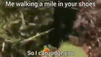 Posting stuff until the sub reaches 2k members day 12