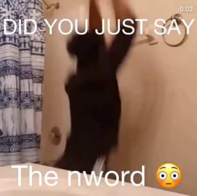 Well did you