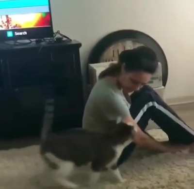 Copycat