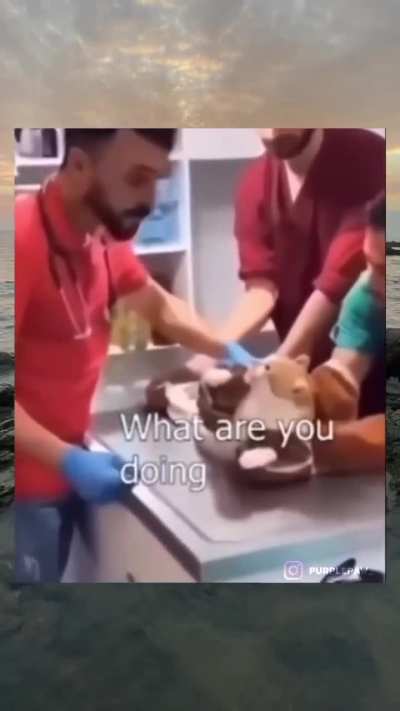Not the balls!
