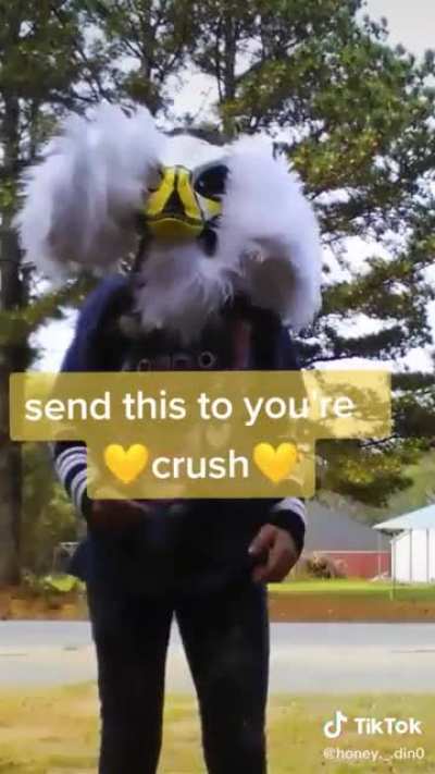 ahh yes...the wrong 'your' and your crush will never talk to u again ;)