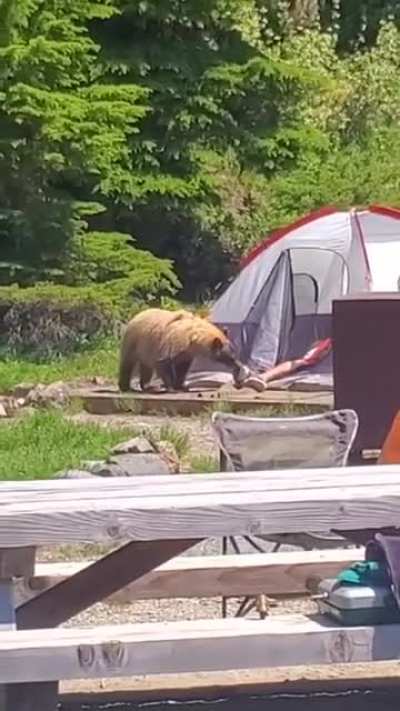 A warning at Bear minimum would be nice...