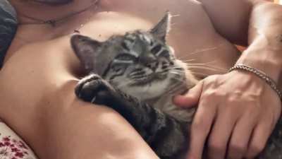 Do I own him, or does he own me?