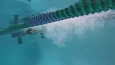 Swim Technique check
