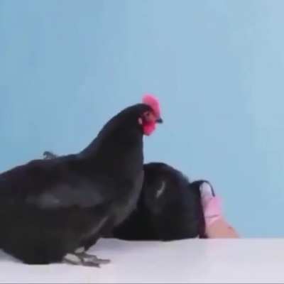 Ahgh