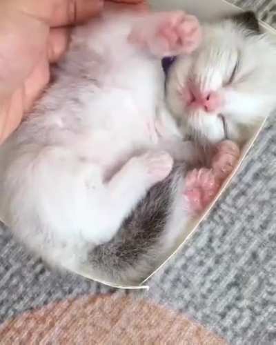 Yum!