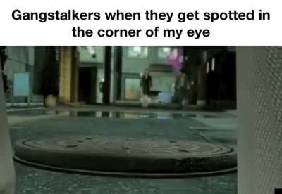 where did he go