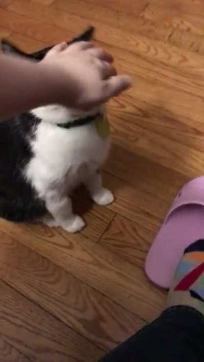 He bites gently when he&rsquo;s hungry