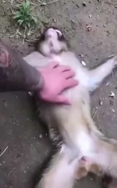 Maybe maybe maybe