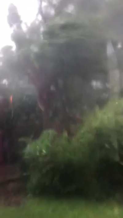 My friend is a little worried about the hurricane here in New Orleans