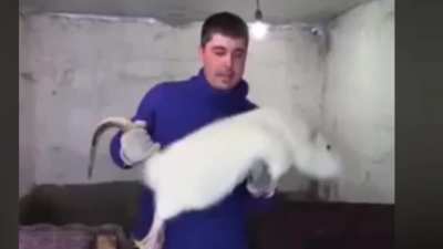 Blursed_What the...