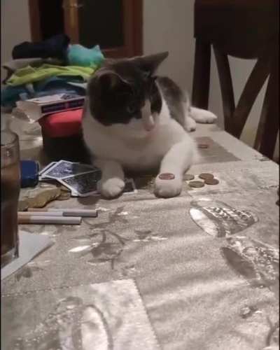 He's got some reflexes
