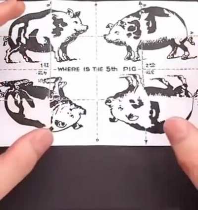 Puzzle nou