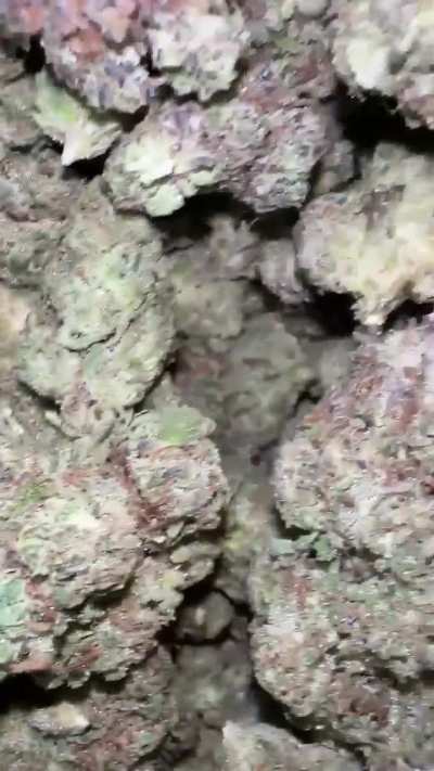 Slurricane
