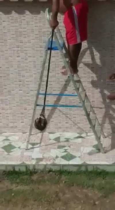🤣🤣