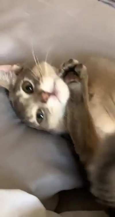 Silly boy