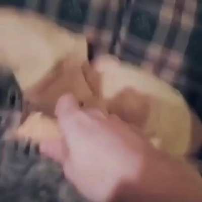 Icecream