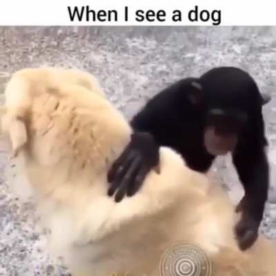 Me_irl