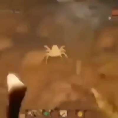 Estoy haciendo la cacona