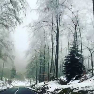 Winter wonderland in the Pf&auml;lzerwald (Palatinate Forest) of Rheinland-Pfalz, Germany