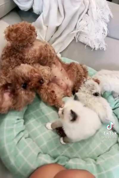 They favor the father&rsquo;s side of the family!