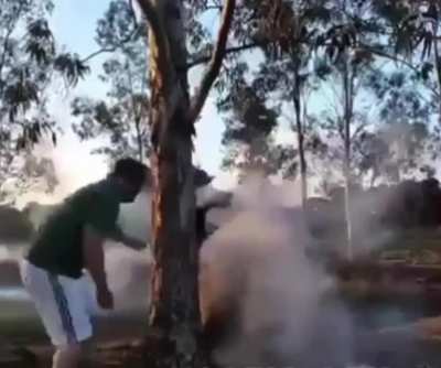 WCGW when you duck for cover