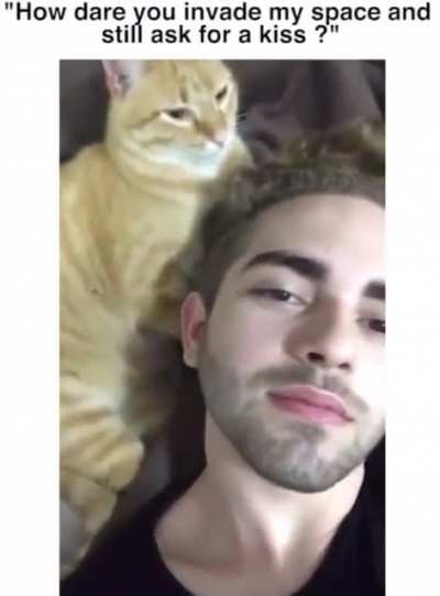Kitten has boundaries