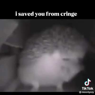 He saved you from cringe thank him