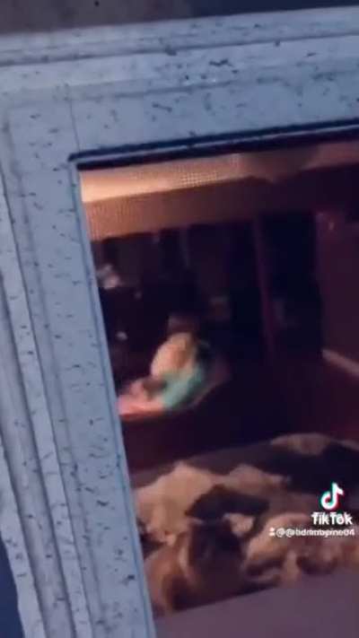 😈😈😈😈