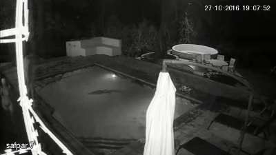 WCGW enjoying your pool in Florida?