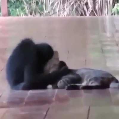 Best friends