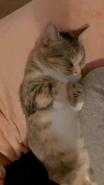 My sweet girl😻