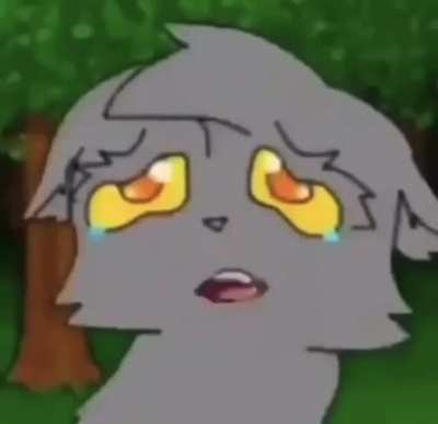 إنشالله cat for allah?? 💯 أحب ‏ ‏بشار وسوريا 🕋🙏🥶 allah syria بسمالله ‏يا الله فوري عرب؟؟!