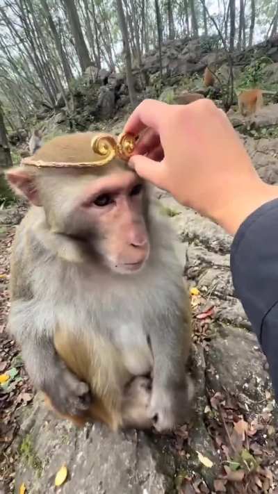 Hoy es un d&iacute;a especial, Felicidades!