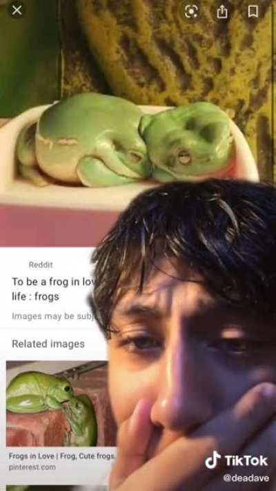 Frogs in love &amp;lt;3