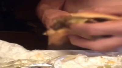 Hamburthug