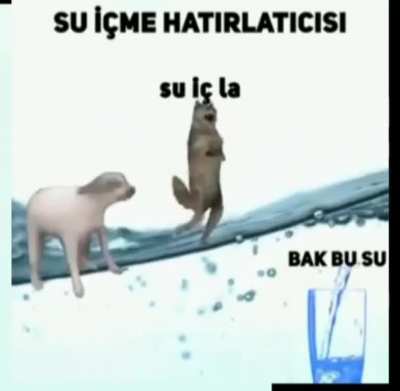 su i&ccedil;meyi unutmayın.