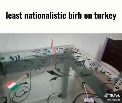 turkic birb cCc 🇹🇷🐦🇹🇷🐦🇹🇷🐦🇹🇷 🚫🐺🚫