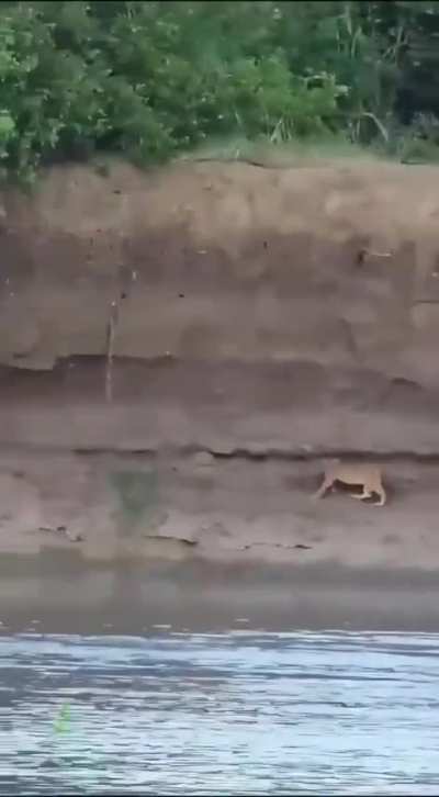 I couldn&rsquo;t watch it&rsquo;s end !