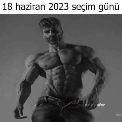 olur gibi
