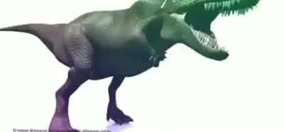 😳😳HS DAMOOCINNG SUS!😳😳