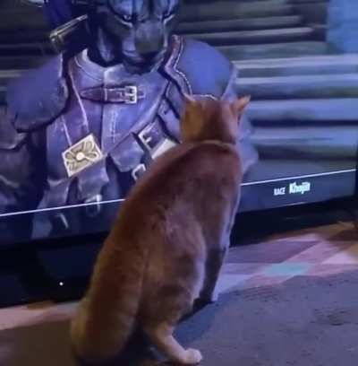 Kitty doesn&rsquo;t know how to handle a Khajit