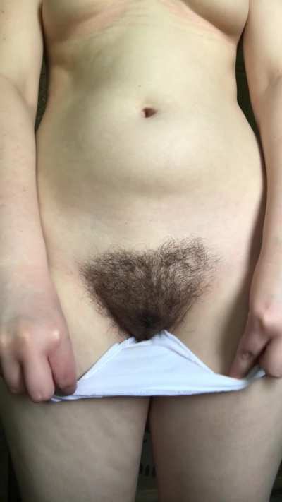 Bush reveal