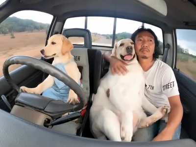Long ride with the homies