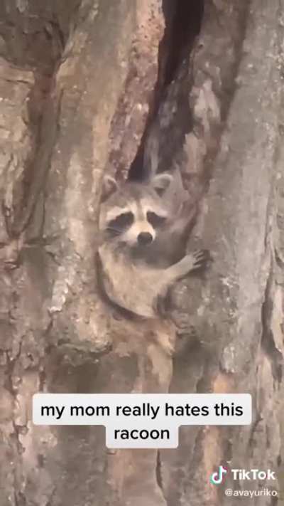 You didn&rsquo;t see me
