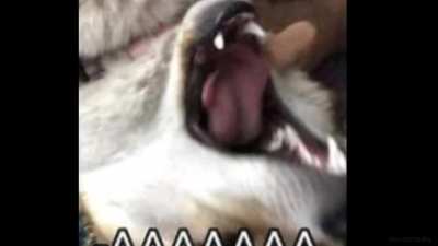 -miki ya es hora..